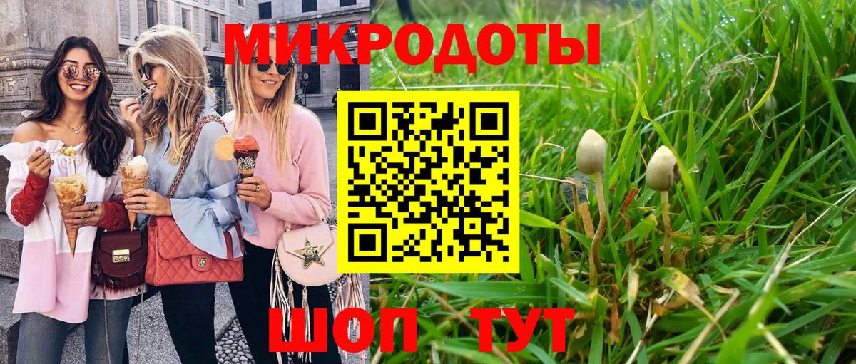 Прохладный  Галлюциногенные грибы Psilocybine cubensis  Вход с VPN 